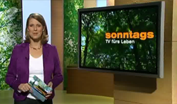 ZDF Sonntags TV